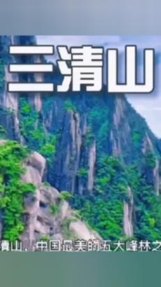 可爱小猫向上跳